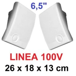 COPPIA ALTOPARLANTE 100V CASSA ACUSTICA BIANCA FILODIFFUSIONE PARETE DIFFUSORE 15W