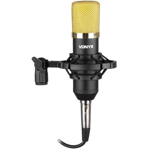 MICROFONO CONDENSATORE DA STUDIO A DIAFRAMMA PROFESSIONALE YOUTUBER + RAGNO REGALO 2 MICROFONO CONDENSATORE DA STUDIO A DIAFRAMMA PROFESSIONALE YOUTUBER + RAGNO REGALO - immagine 2